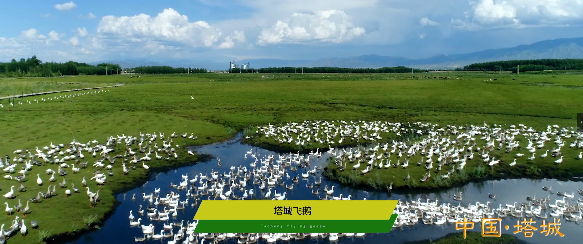 &#27431;&#23453;&#32593;&#39029;&#29256;&#30331;&#24405;&#20837;&#21475;&#45;&#27431;&#23453;&#40;&#20013;&#22269;
